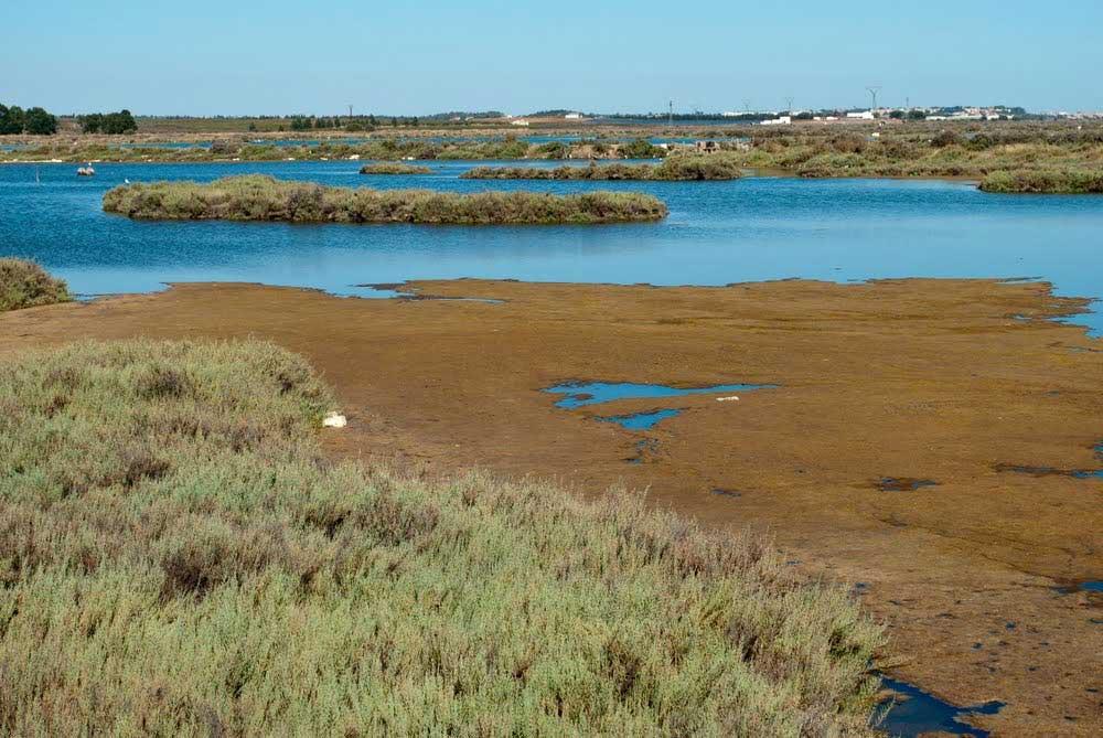 Marismas di Isla Cristina