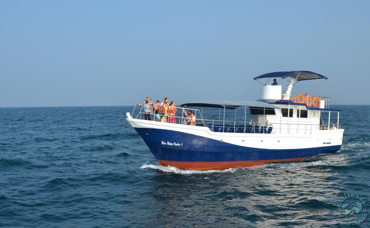 dove vedere le balene in Sri Lanka 