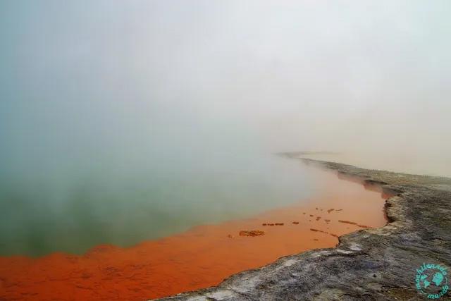 parco Geotermale Wai-O-Tapu in Nuova Zelanda