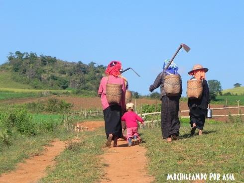 ambiente rurale nel trekking al Lago Inle in Myanmar