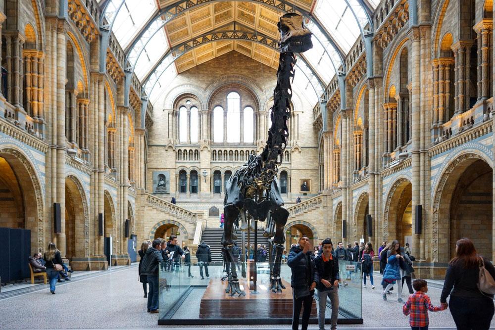 migliori musei di Londra Museo di Storia Naturale
