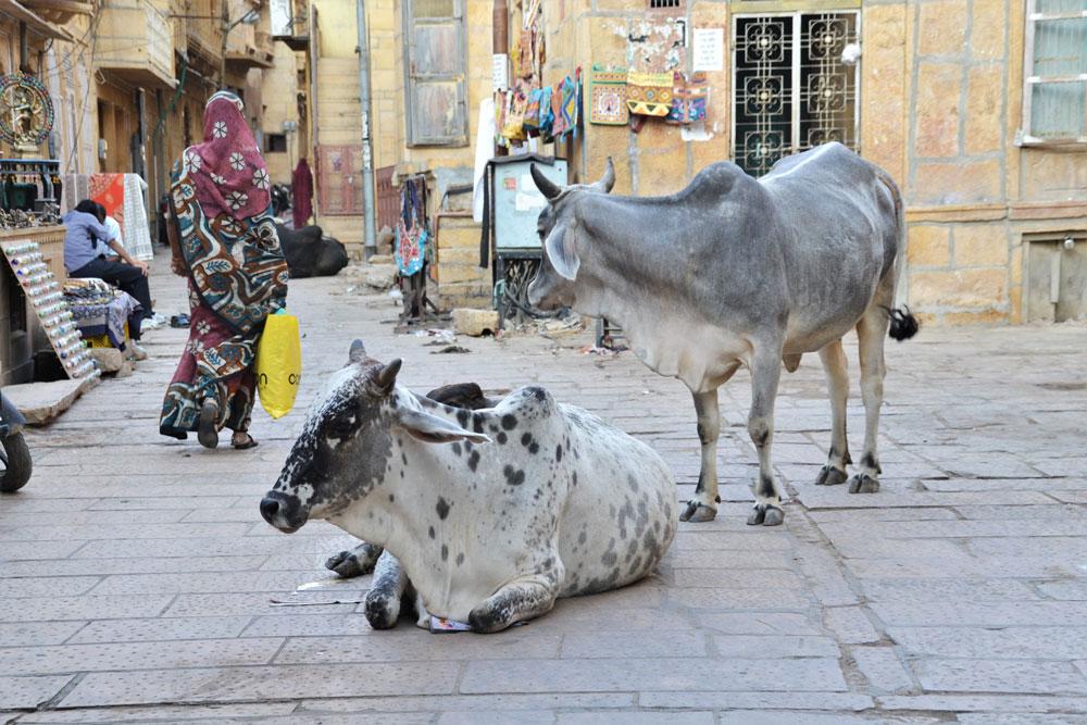 cosa fare a Jaisalmer