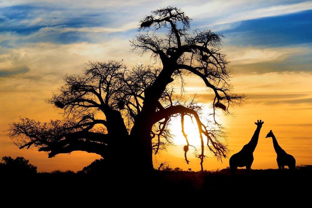 Sudafrica destinazione ottobre