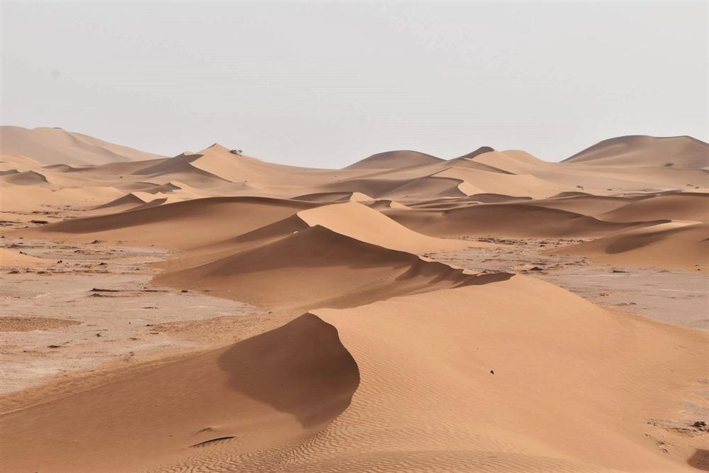 Deserto del Sahara Marocco
