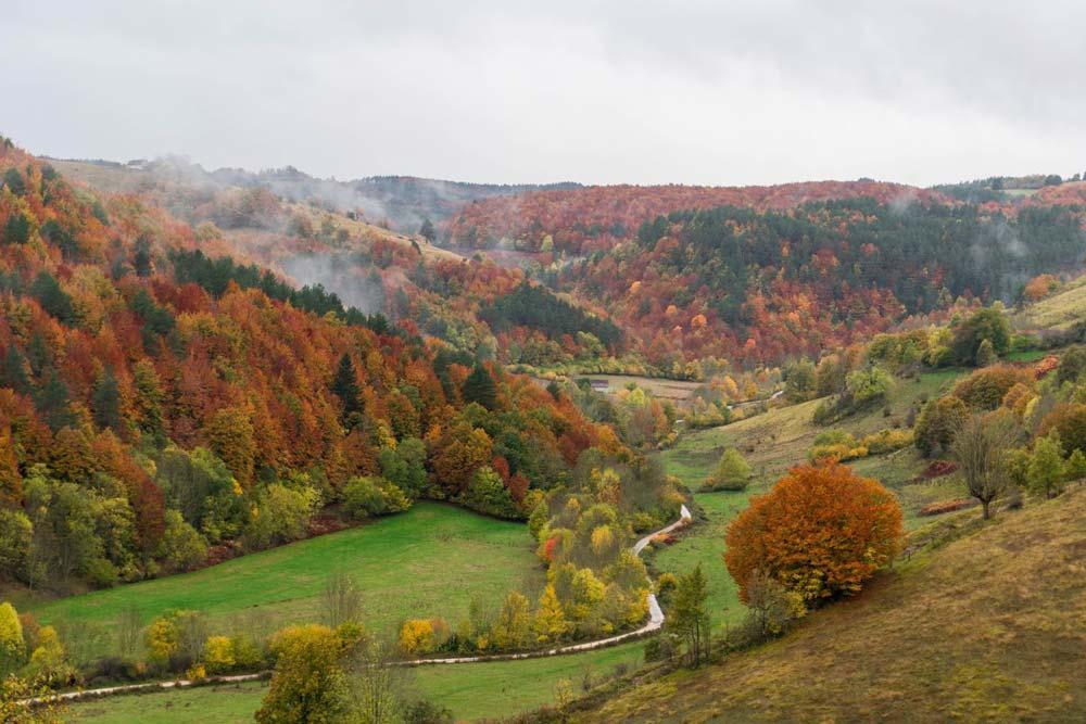 Foresta di Irati Navarra