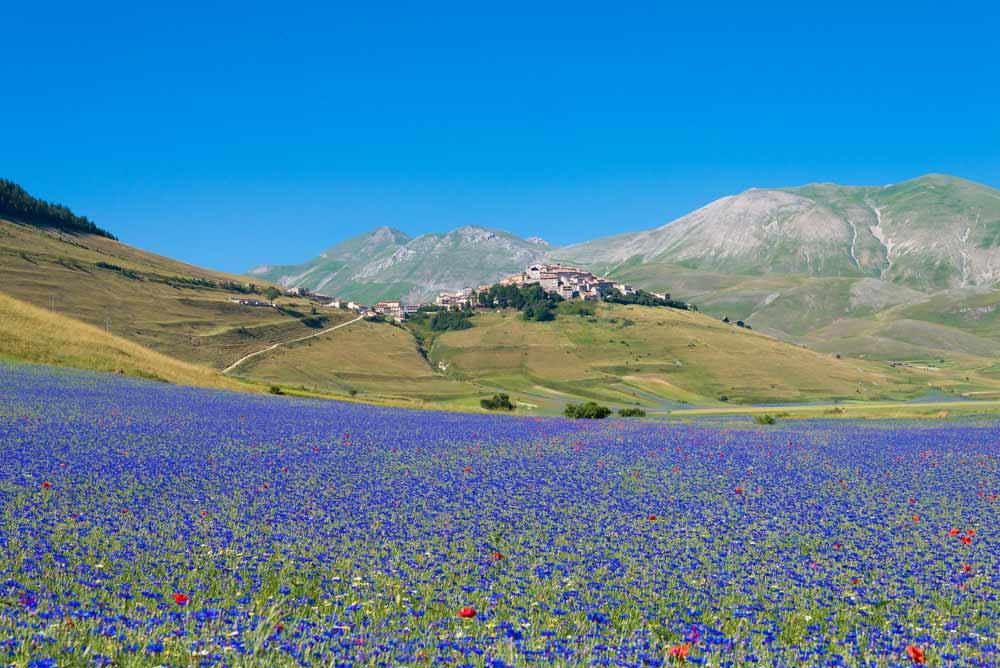 Paesaggio a Castelluccio di Norcia Italia