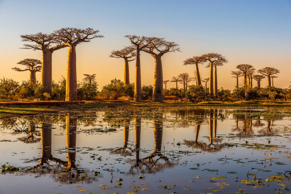 migliori destinazioni maggio Madagascar