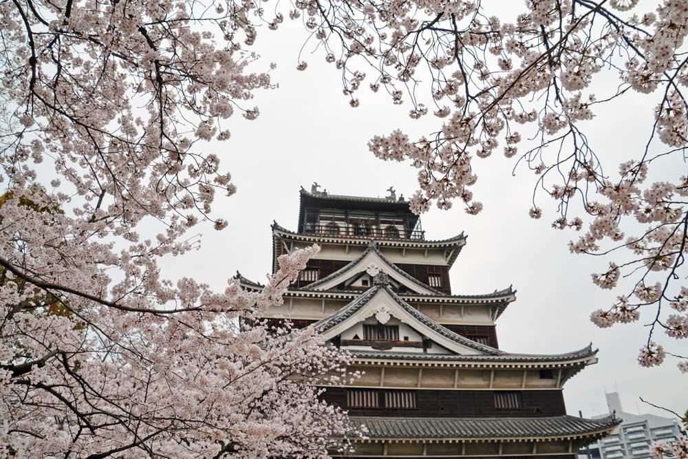 castello di Hiroshima durante il hanami