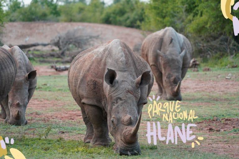 parco nazionale hlane eswatini