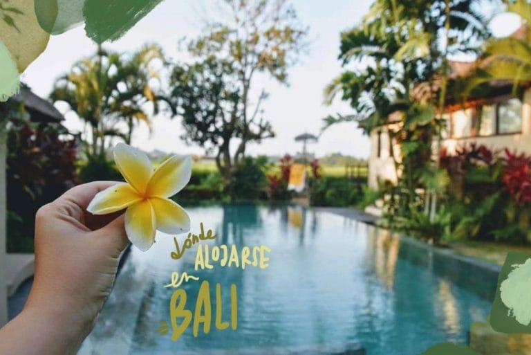 migliori zone di bali