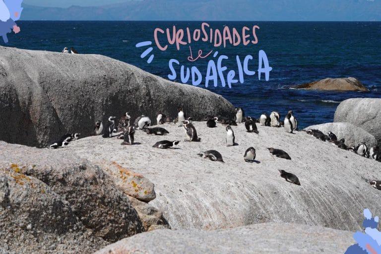 curiosità di sudafrica
