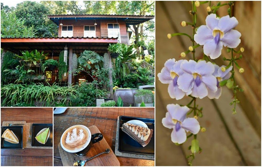 donde tomar café en Chiang Mai