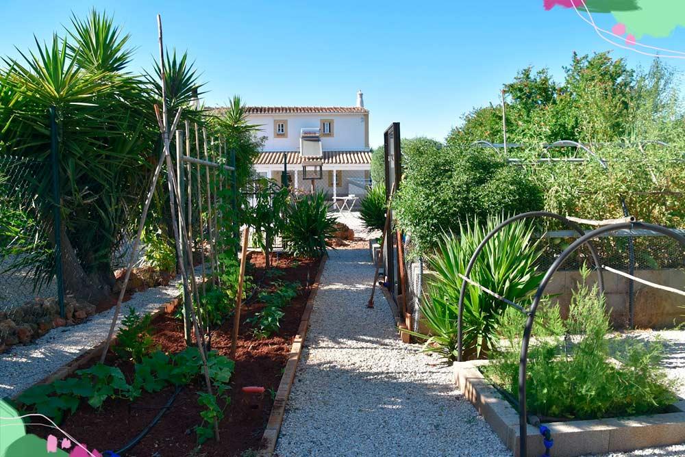 orto del nostro housesitting in Portogallo