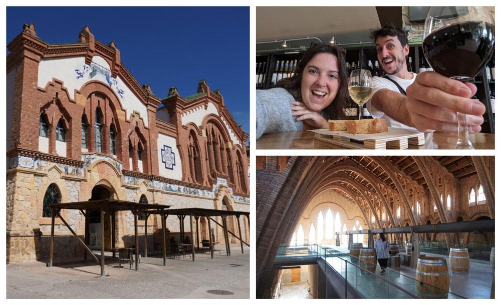 Cosa vedere nelle Terres de l'Ebre Cantina Pinell de Brai