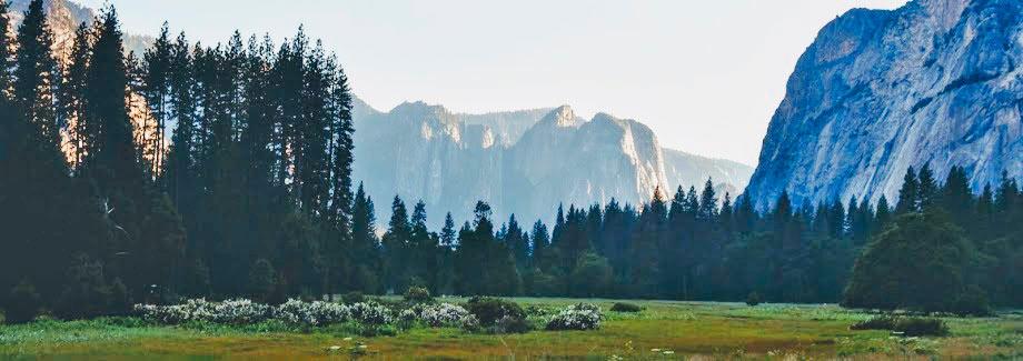 Parco Nazionale Yosemite