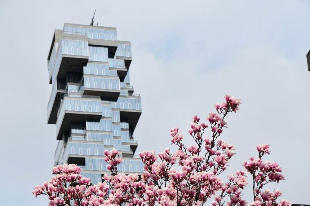 edifici e rascacielos di nueva york più famosi