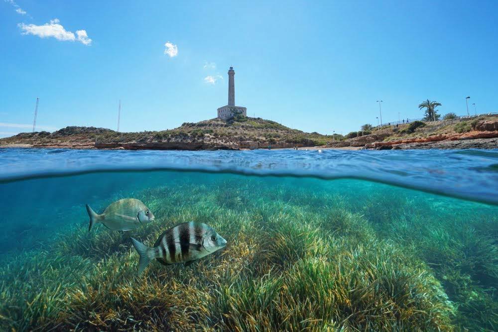 15 migliori cose da vedere e fare nella Regione di Murcia