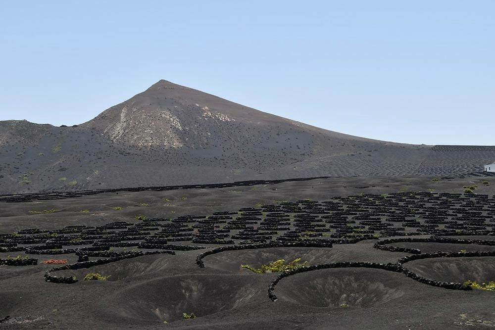 La Geria: percorso del vino e delle cantine a Lanzarote