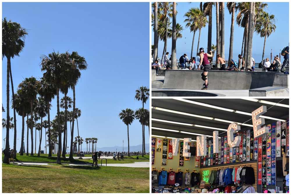 10 COSA VEDERE E FARE A VENICE BEACH