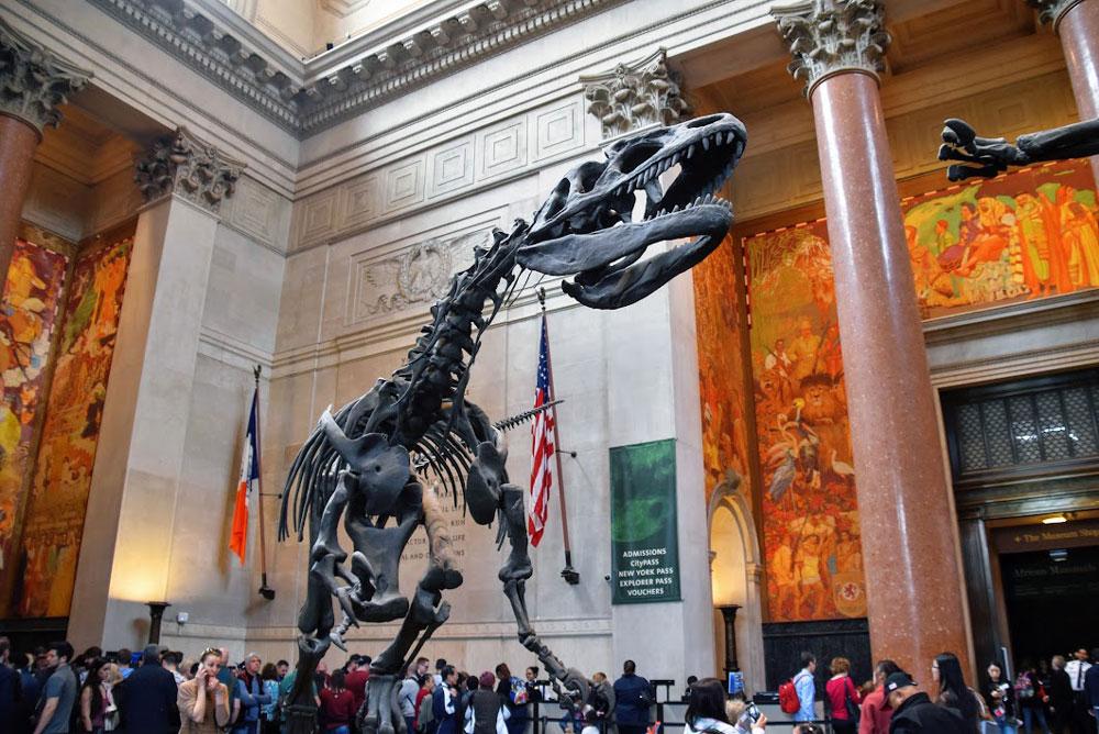 Cosa fare GRATIS a New York