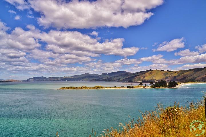 LE MIGLIORI COSE DA VEDERE E FARE A DUNEDIN E NELLA PENISOLA DI OTAGO