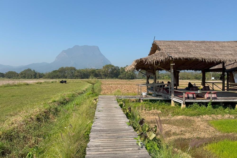 10 cose da vedere e fare a Chiang Dao