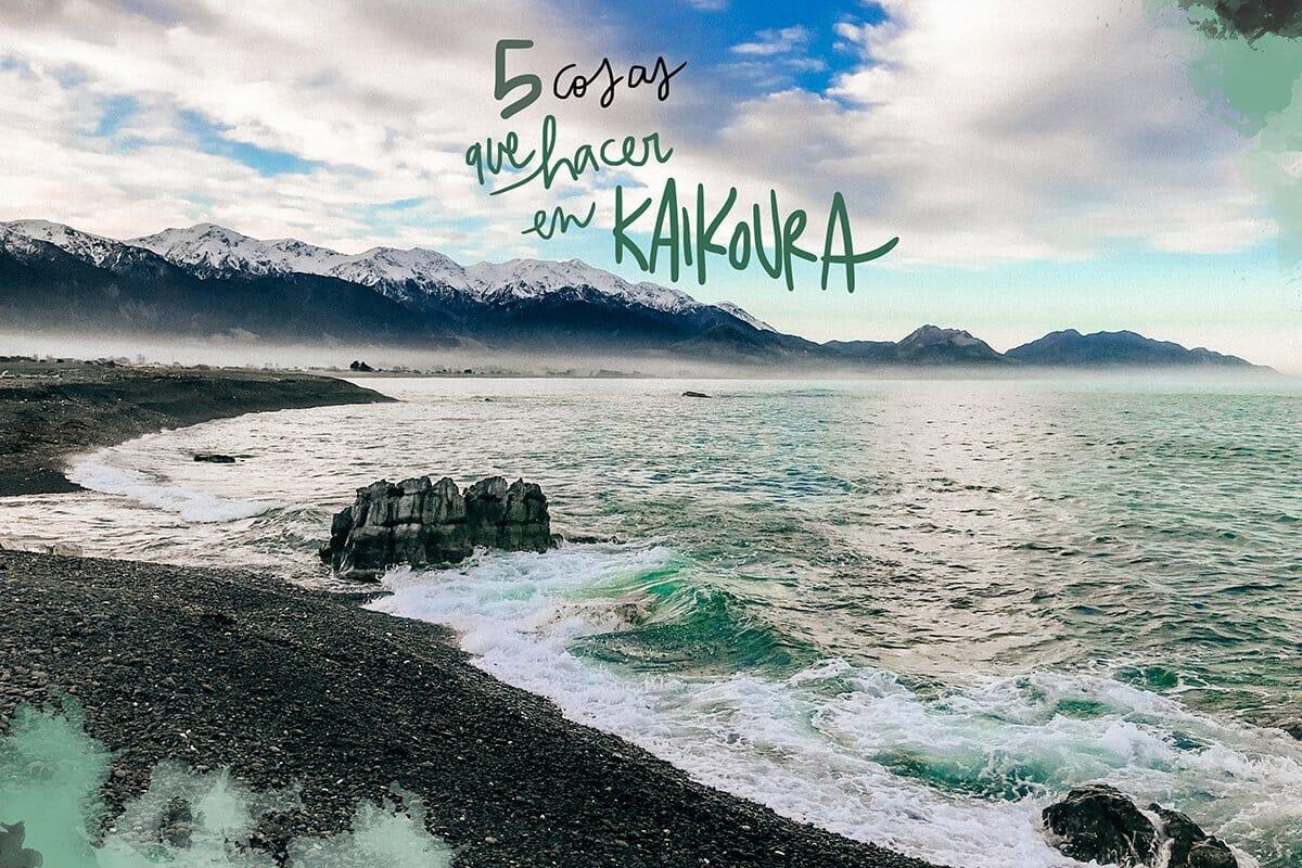 5 COSE DA VEDERE E FARE A KAIKOURA: AMORE A PRIMA VISTA