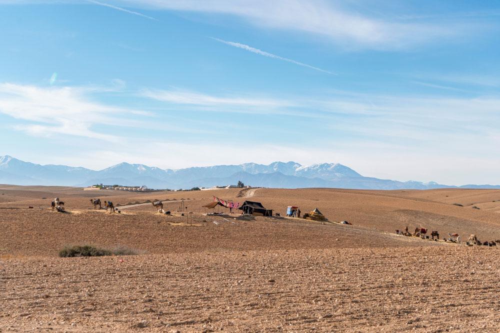 Le 5 (+1) migliori ESCURSIONI da MARRAKECH ❤️