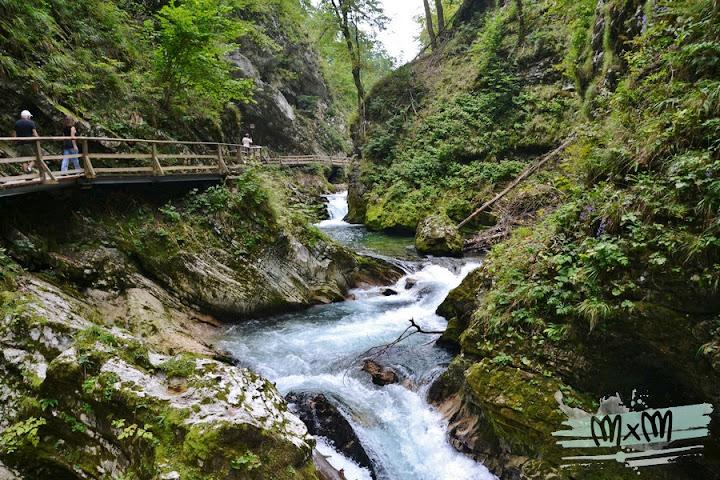 Tour di un giorno in Slovenia da Lubiana per vedere tutto