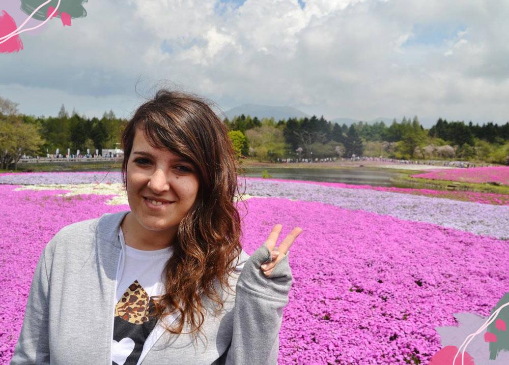 Festival Shibazakura: un mare di fiori davanti al Fuji