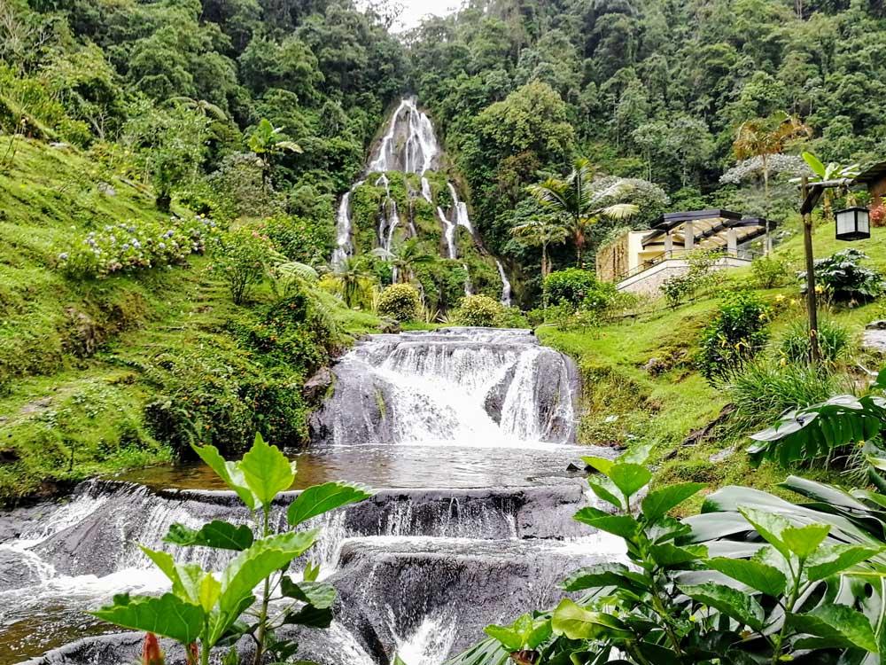 5 Essential Things to See and Do in the Coffee Axis - Traveling the World