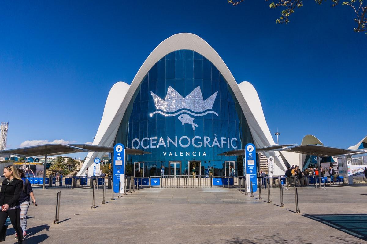 ingresso oceanografic valencia