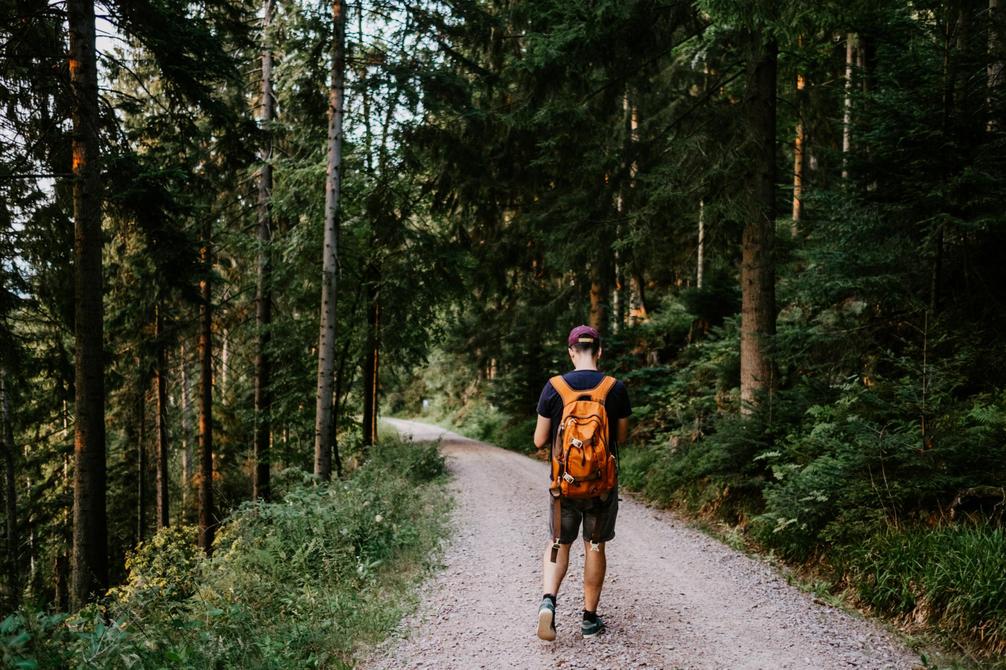 trekking nella foresta nera, la natura tedesca