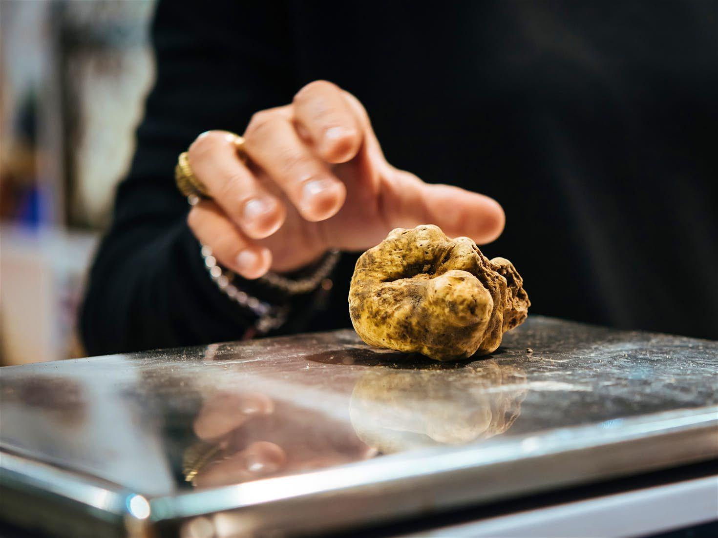 Un tartufo viene pesato sulla bilancia