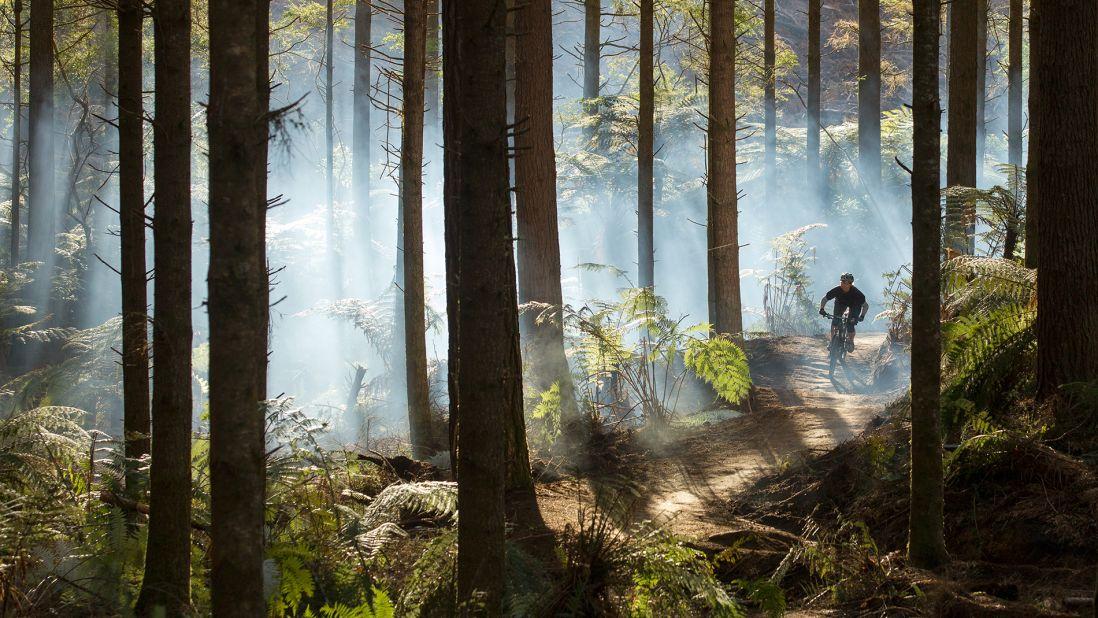 The Redwoods, or Whakarewarewa Forest, offers more than 170 kilometers of trails for hiking, biking and running suitable for all abilities. 
